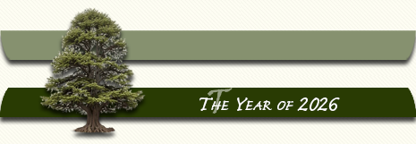 This is the start of the Year of 2026.